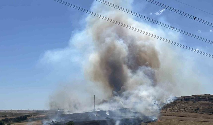 Tekirdağ'da korkutan yangın: 500 dönüm anız alev alev yandı
