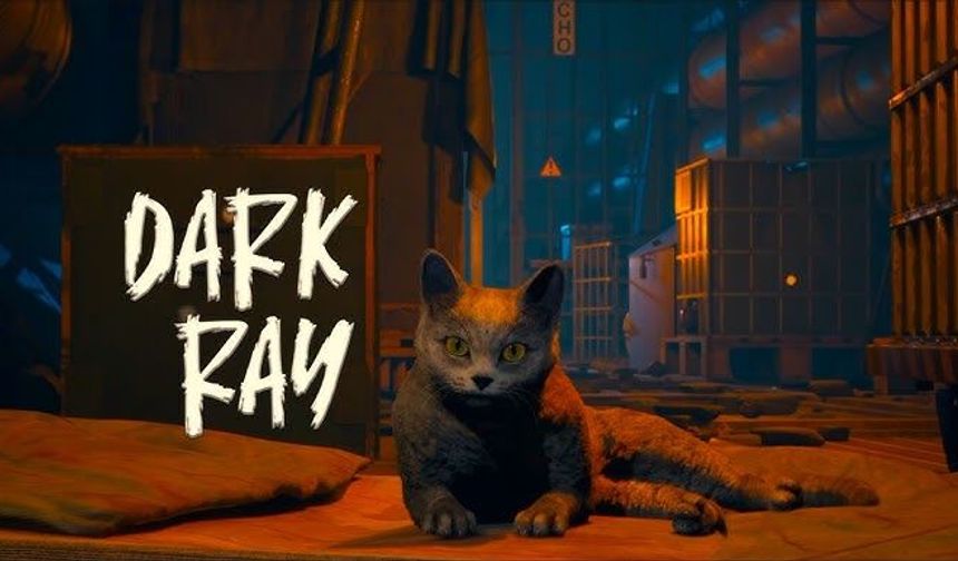 Yerle bir olan dünyanın ortasında bir kedi: DarkRay