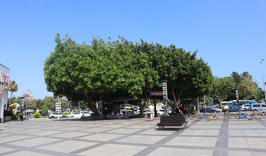 Mersin’de sıcak hava kent meydanlarını da boşalttı