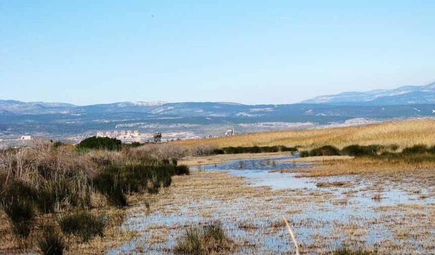 Mersin, Türkiye’deki yüzde 70’lik kısmına ev sahipliği yapıyor