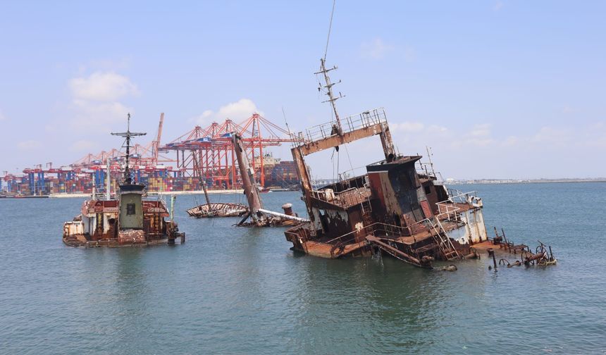 Mersin’de çürümeye terk edilen tekneler, deniz canlıları için üreme alanı oluşturuyor