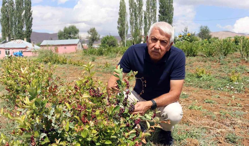 Aronya ile ilçeyi kalkındıracaklar