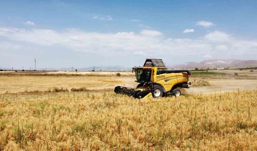 Borsa-20 nohut çeşidinde ilk hasat heyecanı yaşandı