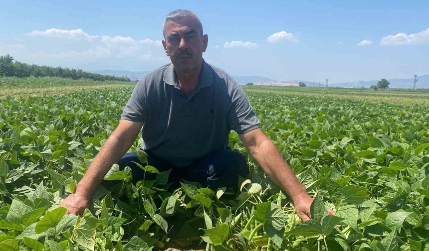Bu köyde çiftçi sadece tarlasını hazırlıyor, gerisini kooperatif yapıyor