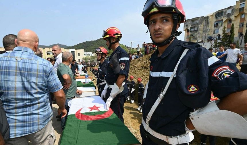 Cezayir'deki orman yangınlarında can kaybı 73'e yükseldi