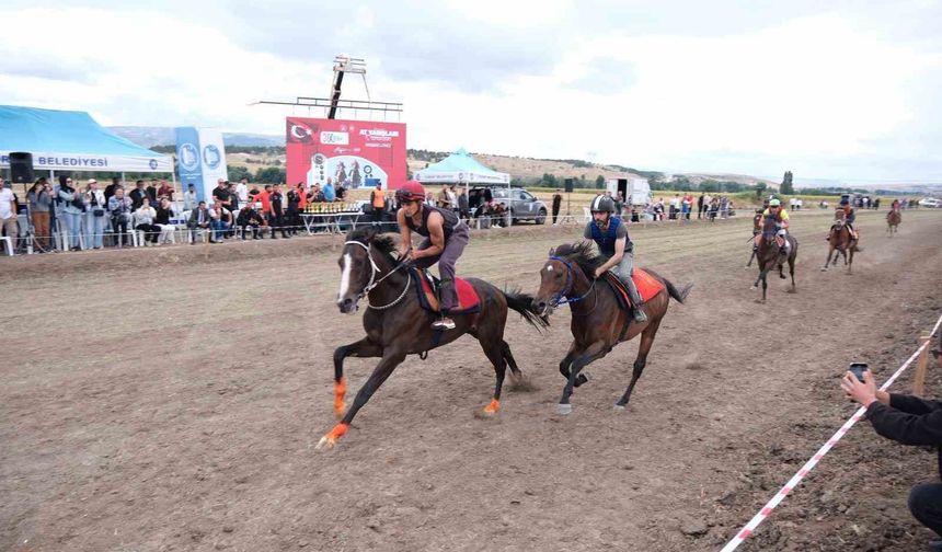 Çorum'da Zafer Bayramı'na at yarışları damga vurdu