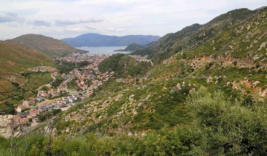 Kara tablo 5 yılda yeşile döndü