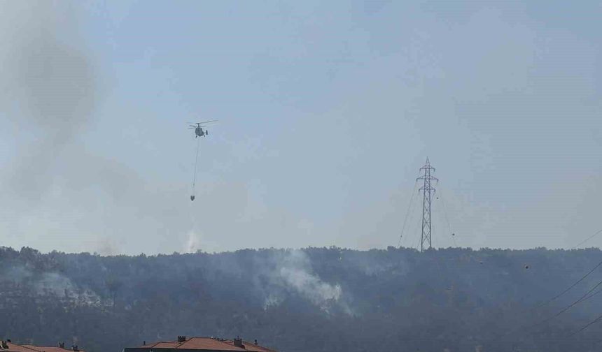 Kazdağları eteklerindeki yangın Zeytinli Mahallesine doğru ilerliyor