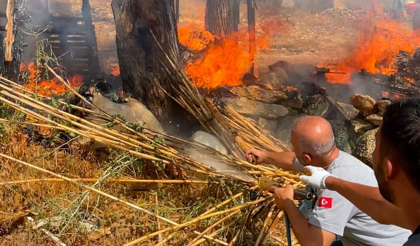 Mersin'de yangına müdahale eden belediye çalışanları ödüllendirildi