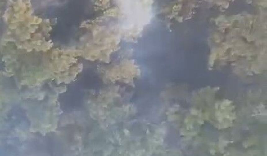 Sındırgı orman yangını 20'nci saate ulaştı