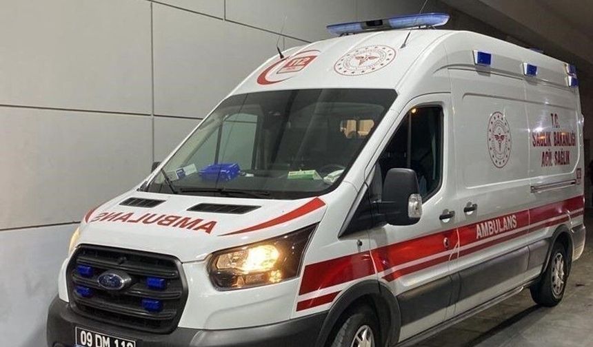 Tesadüfen bahçeye çıkan baba, oğlunu asılı halde buldu