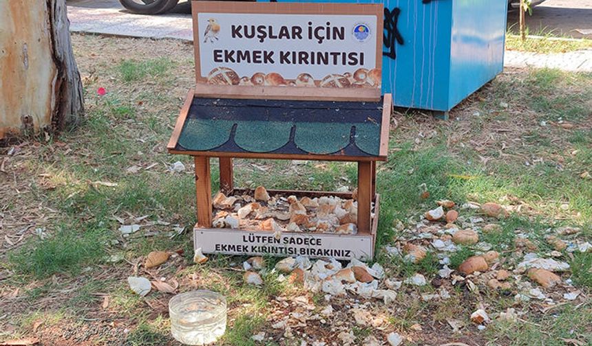 Mersin Yenişehir’de kuşlar için ekmek kırıntısı bırakma noktası ilgi görüyor