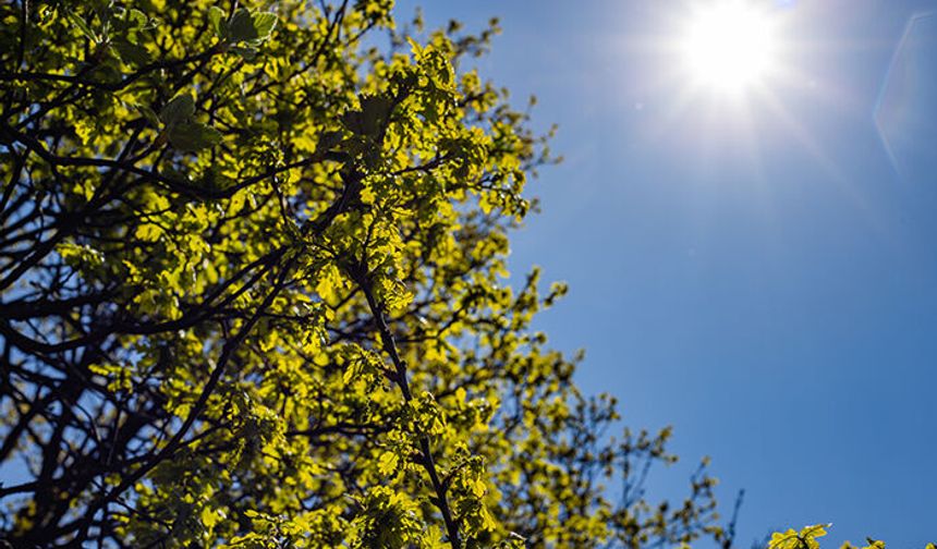 8 Ağustos’ta Mersin’de hava durumu