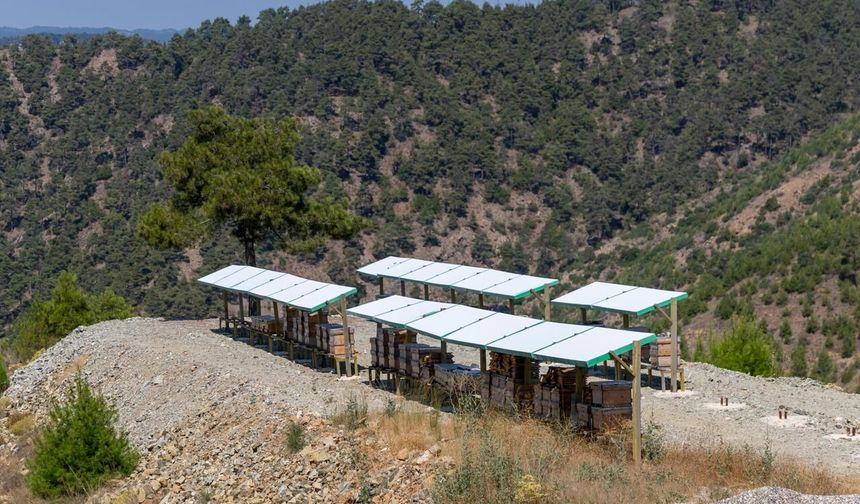 Yenişehir’de şekersiz balın adresi: Manavşa