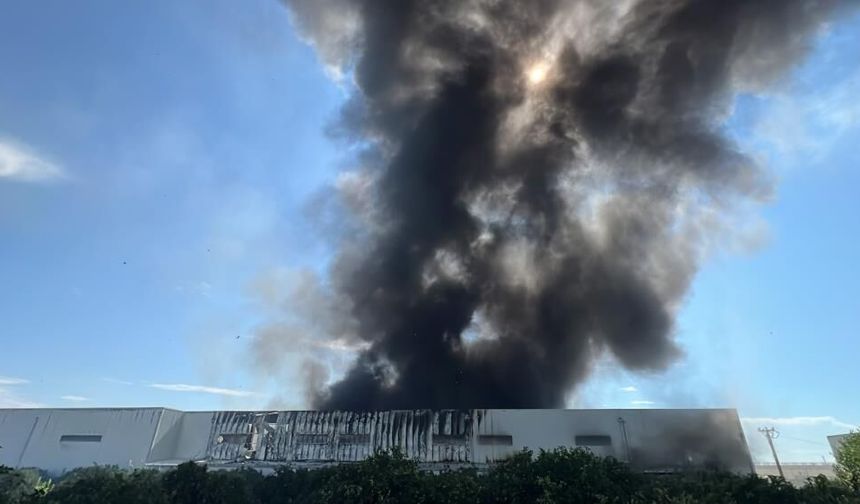 Mersin'de fabrika yangını