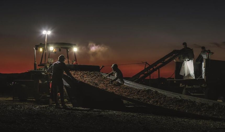 Bağ Bozumu Şenliği Fotoğraf Yarışması'nda ödüller sahiplerini buldu