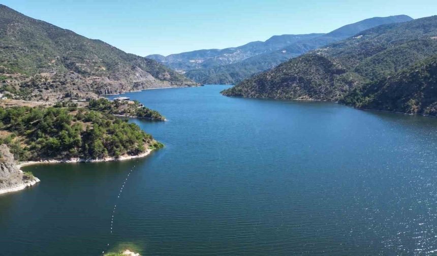 Çorum'da doğal güzellikleriyle ön plana çıkan ormanlar, yapay zeka ve uydu verileriyle korunacak