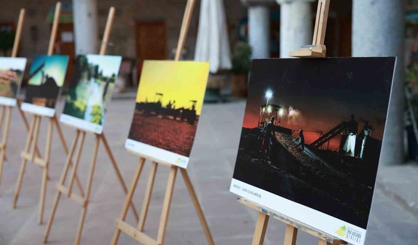 Fotoğraf yarışmasında ödüller sahiplerini buldu