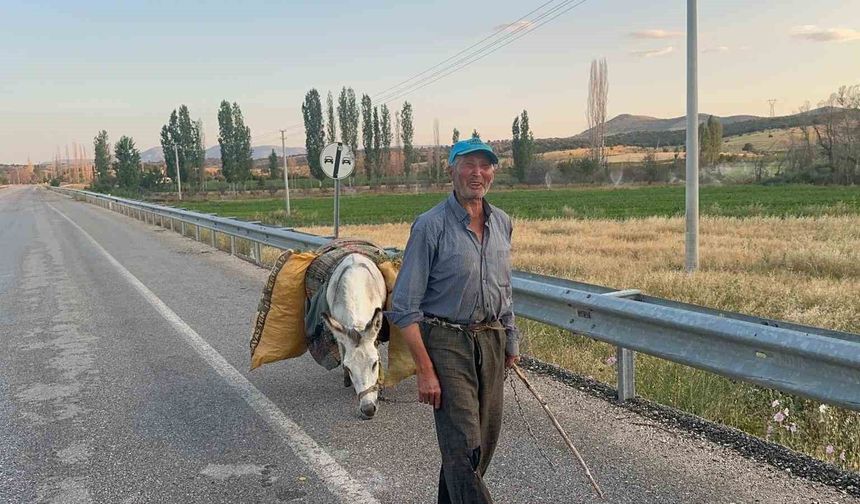 İki dönüm fasulyenin arkasındaki güç: 74 yaşındaki çiftçi ve bir eşek