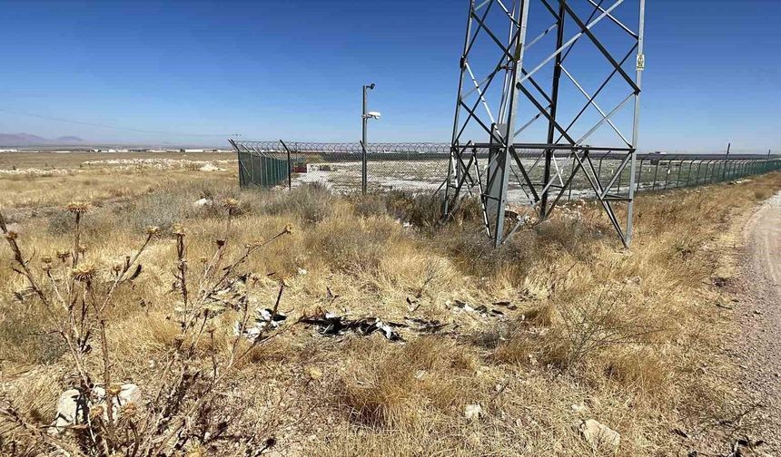 İsveç Prensesi Victoria'nın adını verdiği leylek Karaman'da ölü bulundu
