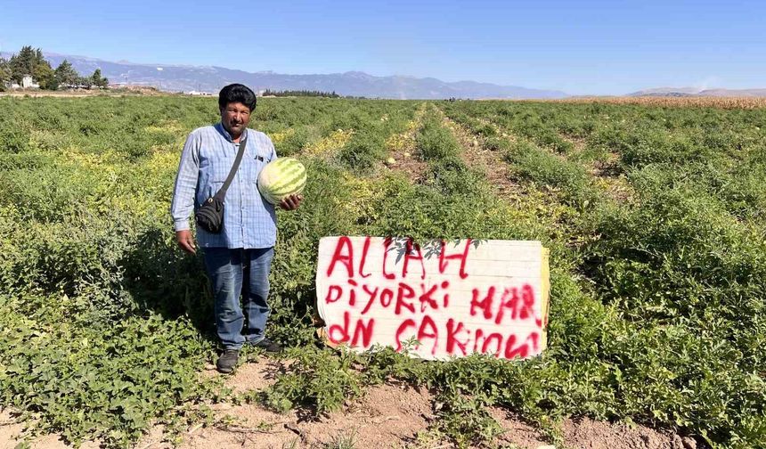 Karpuz hırsızlarıyla başa çıkmak için kibar ikazda bulunan çiftçinin çözümü sonuçsuz kalınca tarlada nöbete başladı