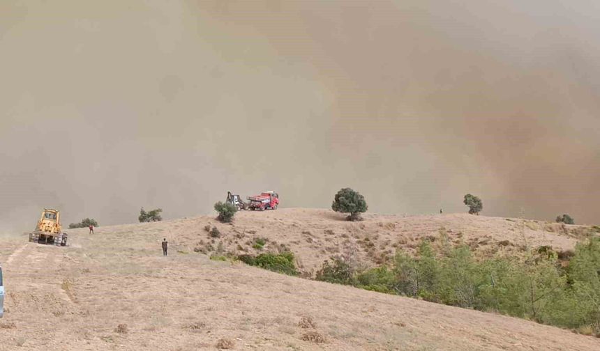 Kozan'da orman yangını: 5 helikopter, 2 uçakla mücadele sürüyor