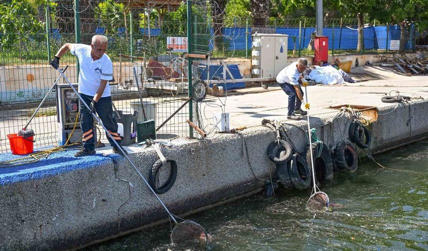 Mersin'de 53 kilometrelik kıyı şeridi 7/24 gözetim altında
