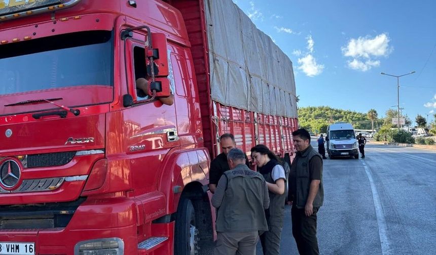 Mersin'de orman suçlarına karşı yol kontrolü