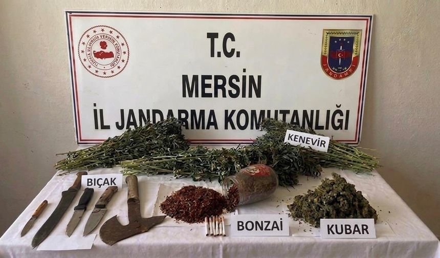 Mersin'de uyuşturucu operasyonu: 1 tutuklama