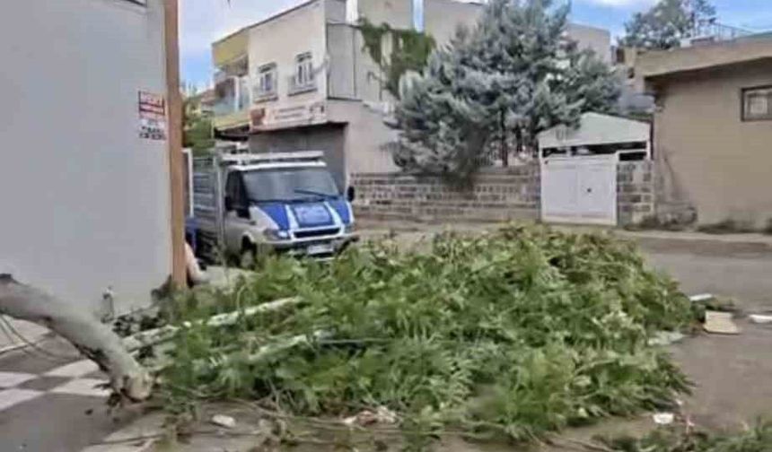 Siverek'te etkili olan fırtına, tarlada çalışan işçilere zor anlar yaşattı