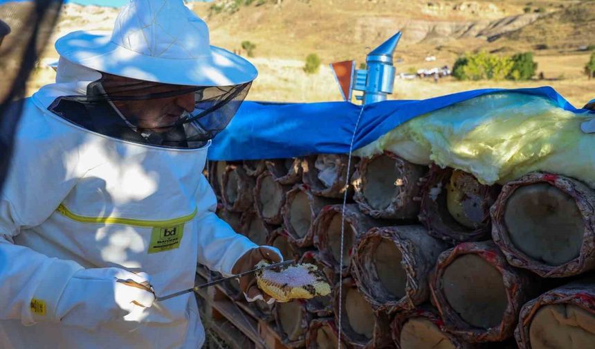 Tunceli'de bal sağımı başladı: 900 tonun üzerinde üretim bekleniyor