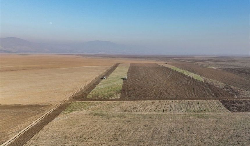 Yargıya takılan 'Dünyanın en büyük organik işletmesi' sonucu bekliyor