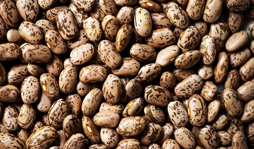 Kışlık hazırlıklar son sürat devam ediyor: Barbunya, 50 TL’den alıcılarını bekliyor