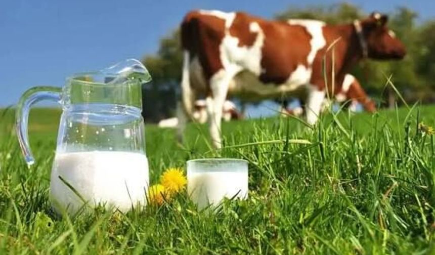 Ticari süt işletmelerince 987 bin 634 ton inek sütü toplandı