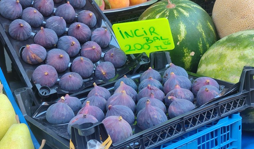 Mersin’de taze incirin kilosu 200 TL