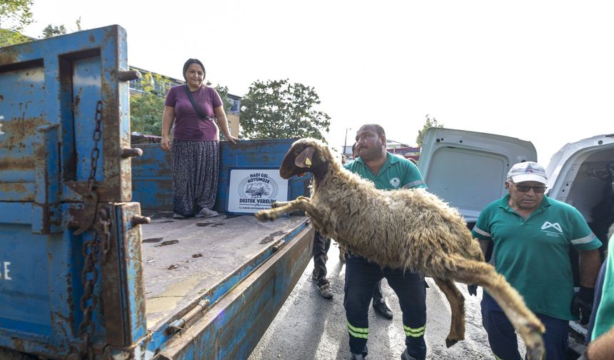 Mersin'de üreticilere hayvan, fidan ve ekipman desteği