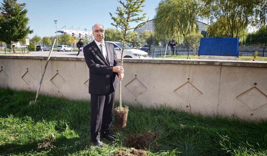 Afyonkarahisar'da 'Bir Fidan Bir Umut' projesi sürüyor