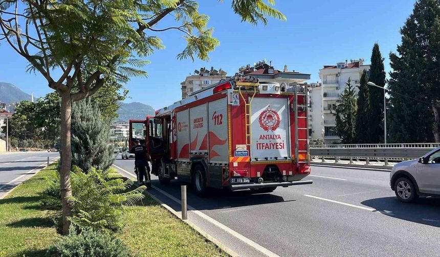 Aydınlatma direğine çarpan otomobilin sürücüsü kaçtı: 1 yaralı