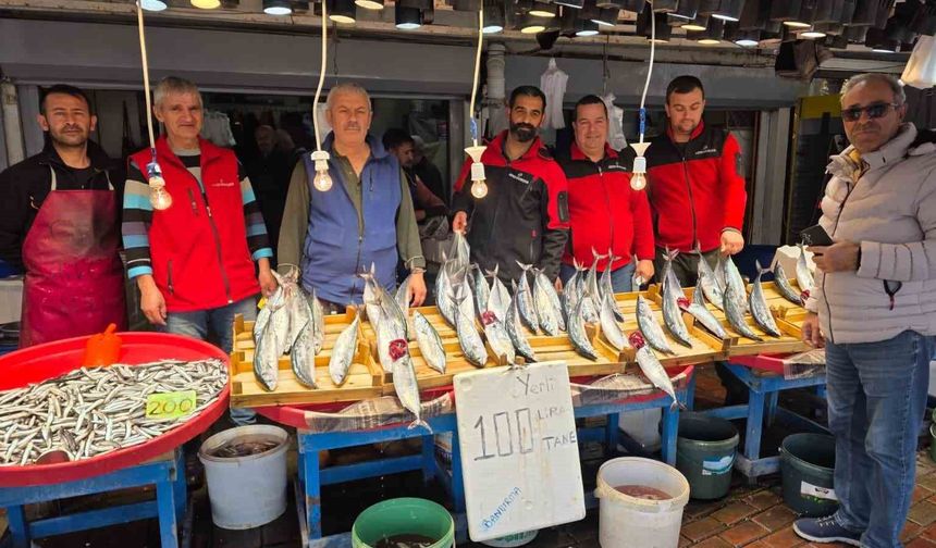 Bandırma'da palamut bereketi, vatandaş kasa kasa balık alıyor
