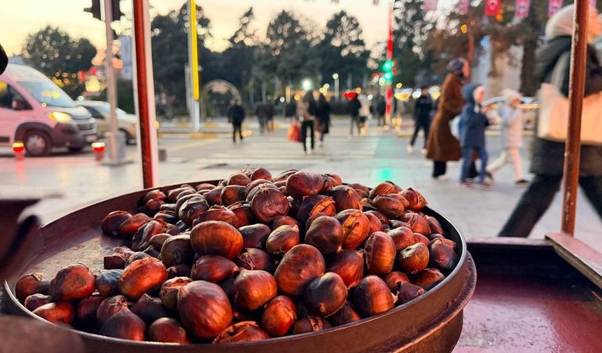 Soğuklar gelmeden kestane tezgaha çıktı