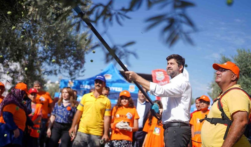 Tarsus'ta zeytinler lösemili çocuklar için toplandı