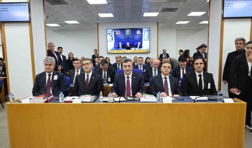 TBMM Plan ve Bütçe Komisyonu'nda fon tartışması