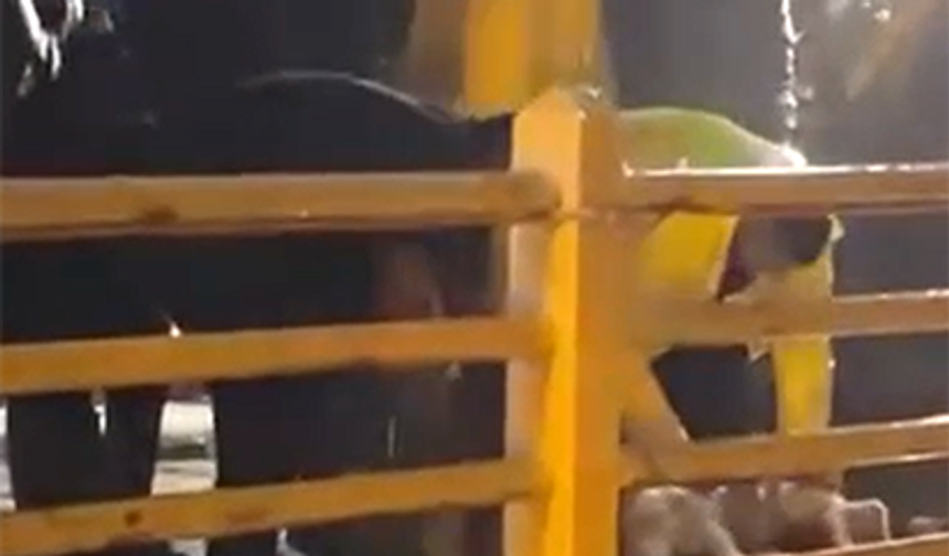 Yalova'da yağmurun durması için kurban kestiler