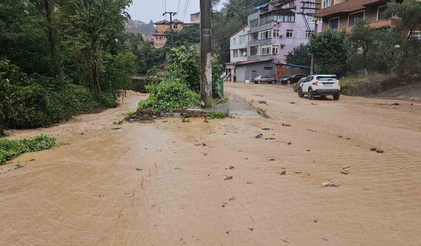 Zonguldak'ta şiddetli yağış etkili oldu