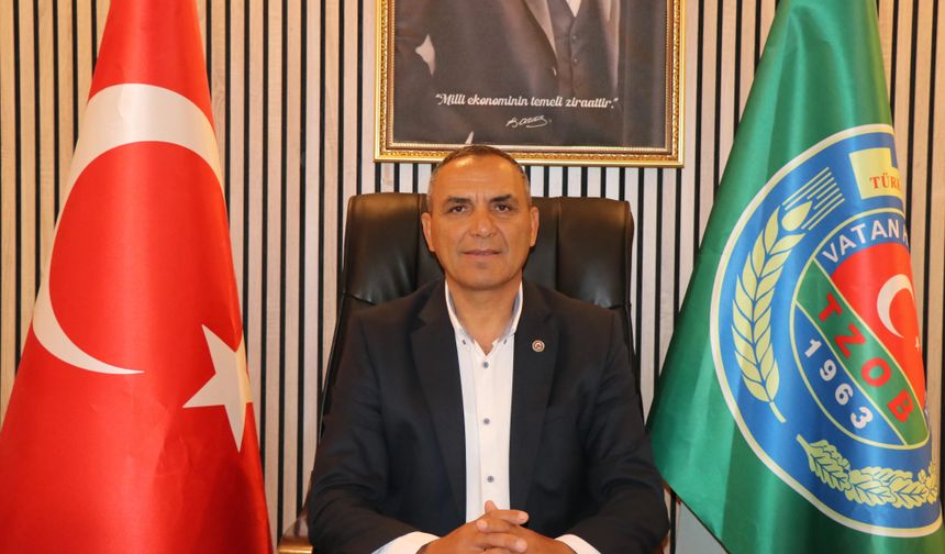 Silifke’de dolu afeti: Yaklaşık 2 bin dönüm çeltik arazisi zarar gördü