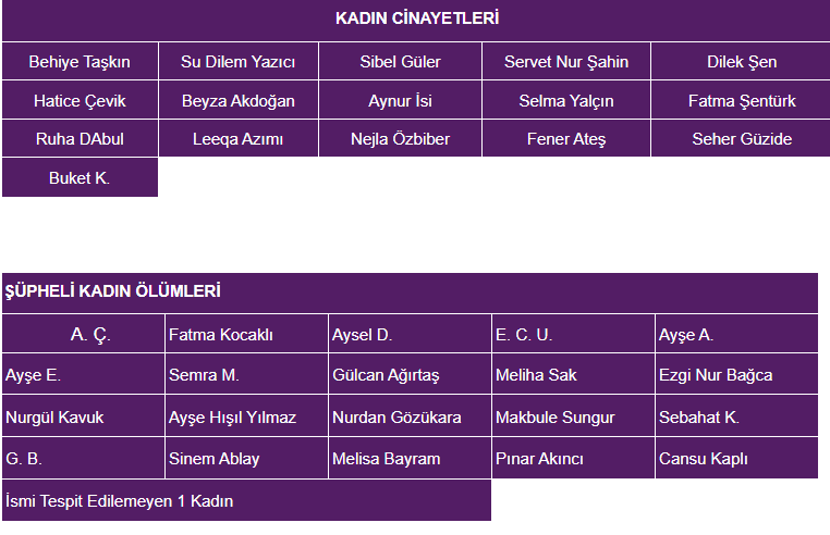 Ekran Görüntüsü 2025 03 04 095828