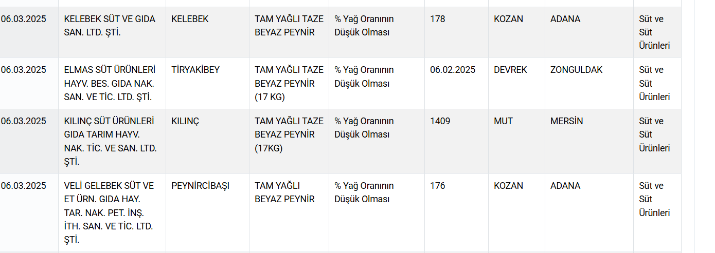 Ekran Görüntüsü 2025 03 10 111928