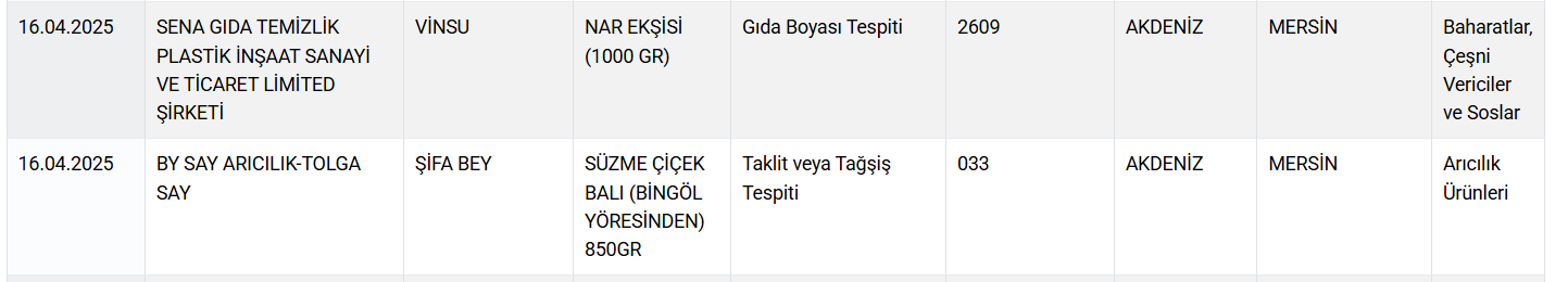 Ekran Görüntüsü 2025 04 18 110906