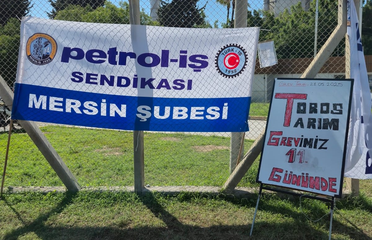 Gs Qh K X L W A A A K0 Tu