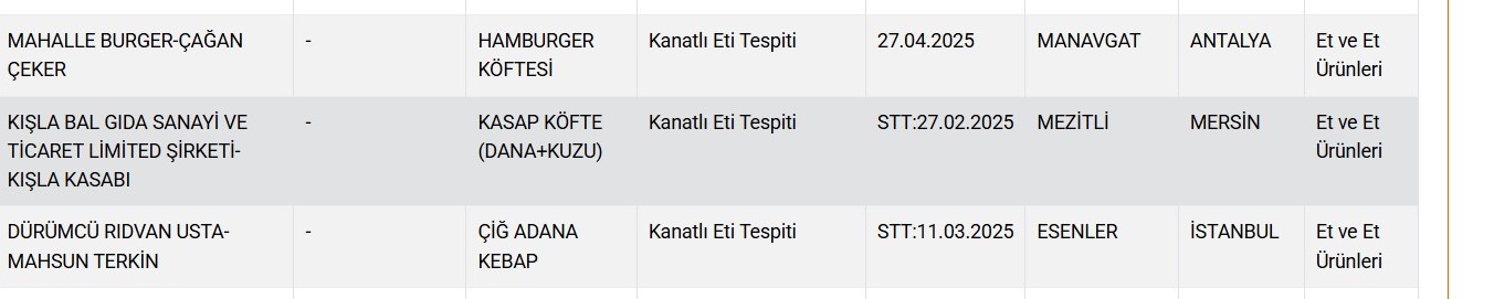 Ekran Görüntüsü 2025 06 11 092441